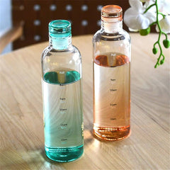 Hydration Time-Tracker Bottles – Elegant Dual Color Motivational Water Bottles